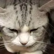 のんびりLifeの画像