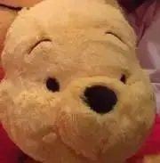 断捨離中のくまぷーの画像