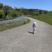 ちひろの画像