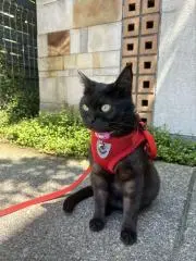 たかちゃん