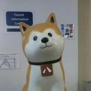 まゆた☆★*☆♪の画像