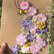 ハレイワの画像