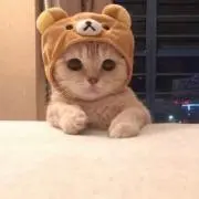 kkの画像