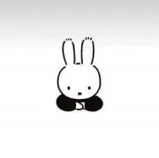 Leeの画像