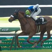 芝不良太郎の画像