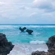 Amiの画像