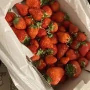 いちごの画像