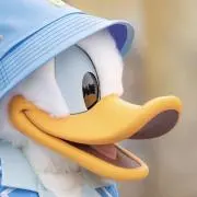 ☆LA☆の画像