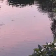 krkrlの画像
