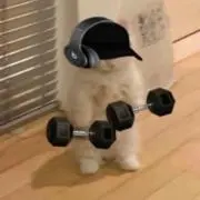 りふとの画像