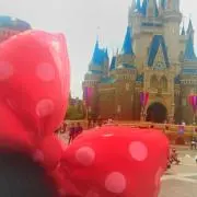 すももちゃんの画像