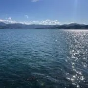 Yの画像