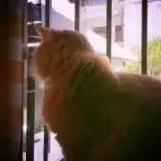 もぐもぐちゃん