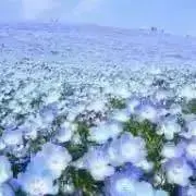 うさくまの画像