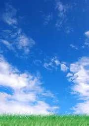 hayaokiの画像
