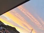 リイの画像