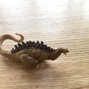 nanoの画像