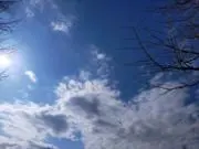 miniの画像