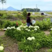 あつこさんの画像