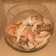 Chikaraの画像
