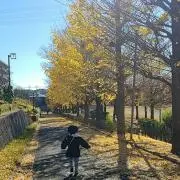 ジャスミンのラッキーショップの画像