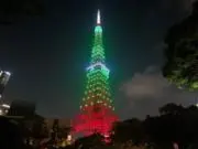 rubyの画像