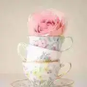 だん