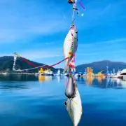 ミキの画像