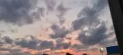 こまつの画像