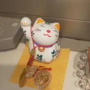 ちゃっぴー☘の画像