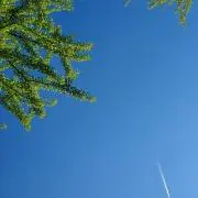 とっとの画像