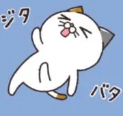 真人の画像