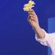 ペチカ
