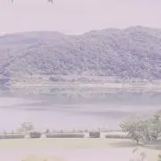 花の画像