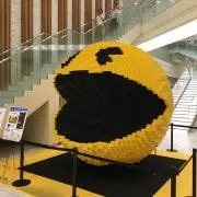 くろまめの画像