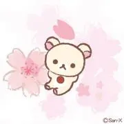 杏の画像