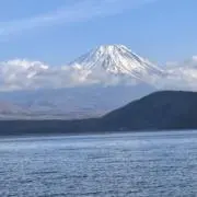 Image of ひー　16日まで大SALE開催中！！