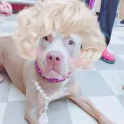 アイス
