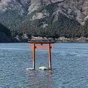 m.nの画像