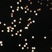 n.n.の画像