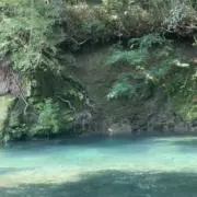 mysonの画像