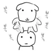 プドゥの画像