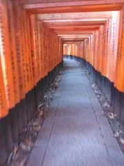 京都　ノミノルフの画像