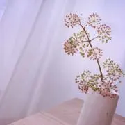 あいみみの画像
