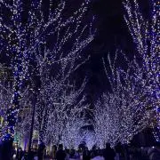 HAKHの画像