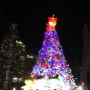 りえたんの画像