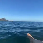 mariの画像