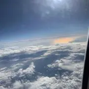 ゲジの画像