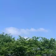 ゆか プロフ必読の画像