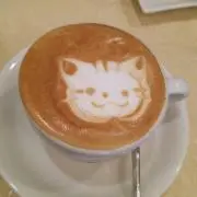 Mayo☆プロフをご覧ください♪の画像